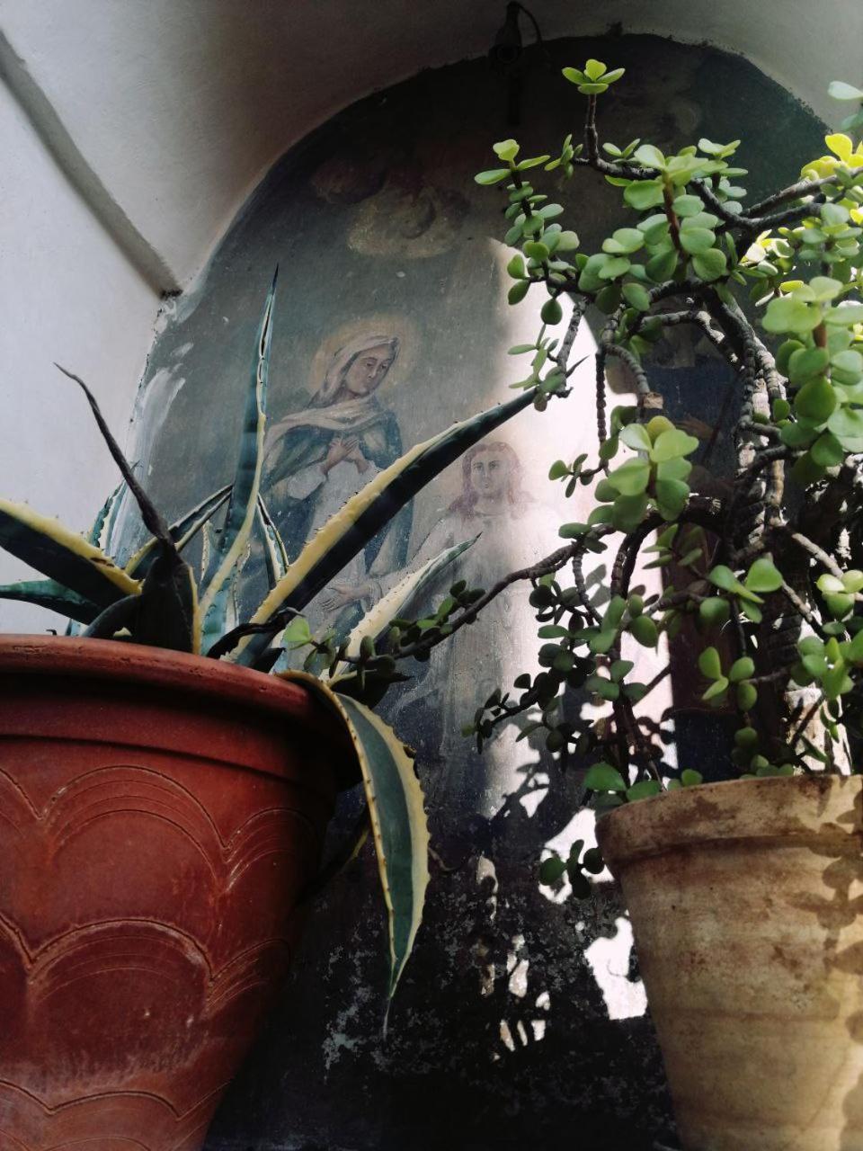 Casa Mariu Villa คาตาเนีย ภายนอก รูปภาพ